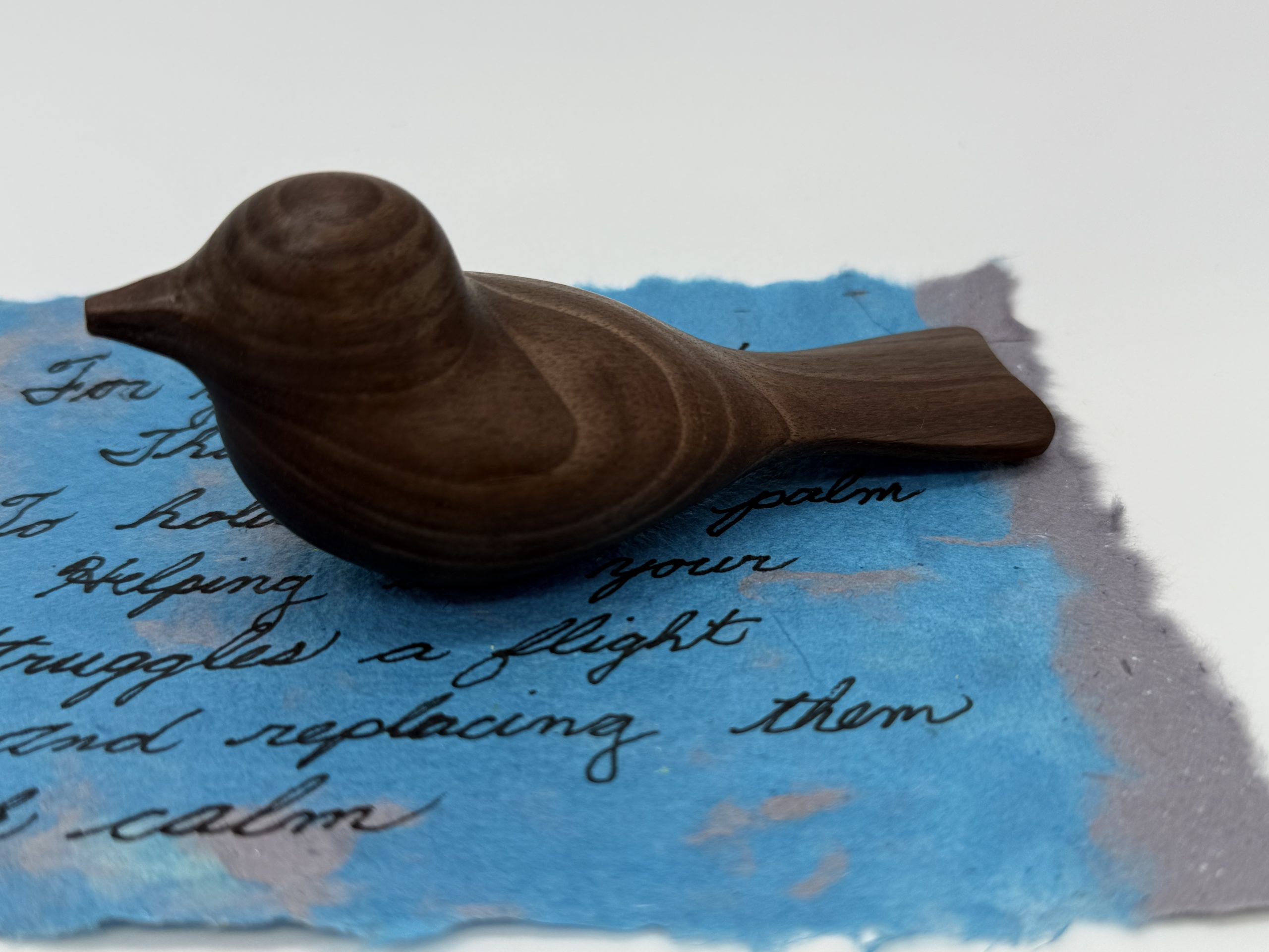 Comfort Bird - Michael Smith