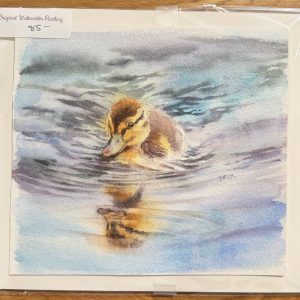 Duckling #2 – Barbara Fox