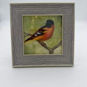Oriole Framed Print – Dona Trezise