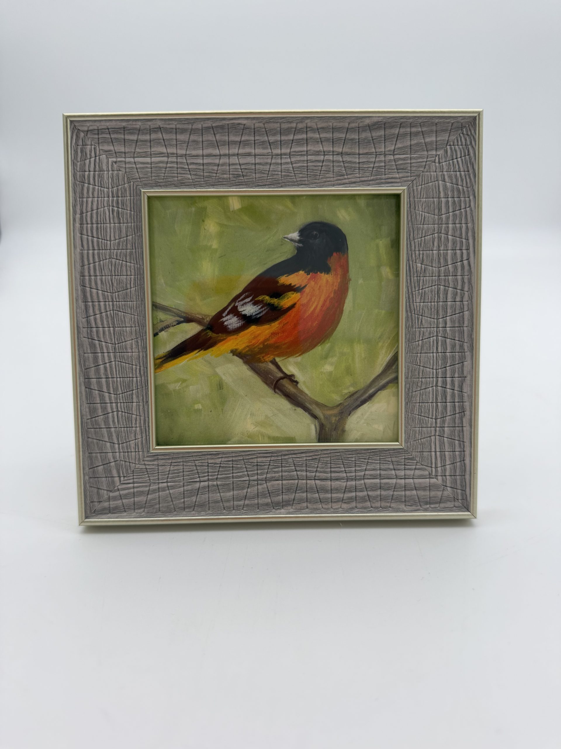 Oriole Framed Print - Dona Trezise