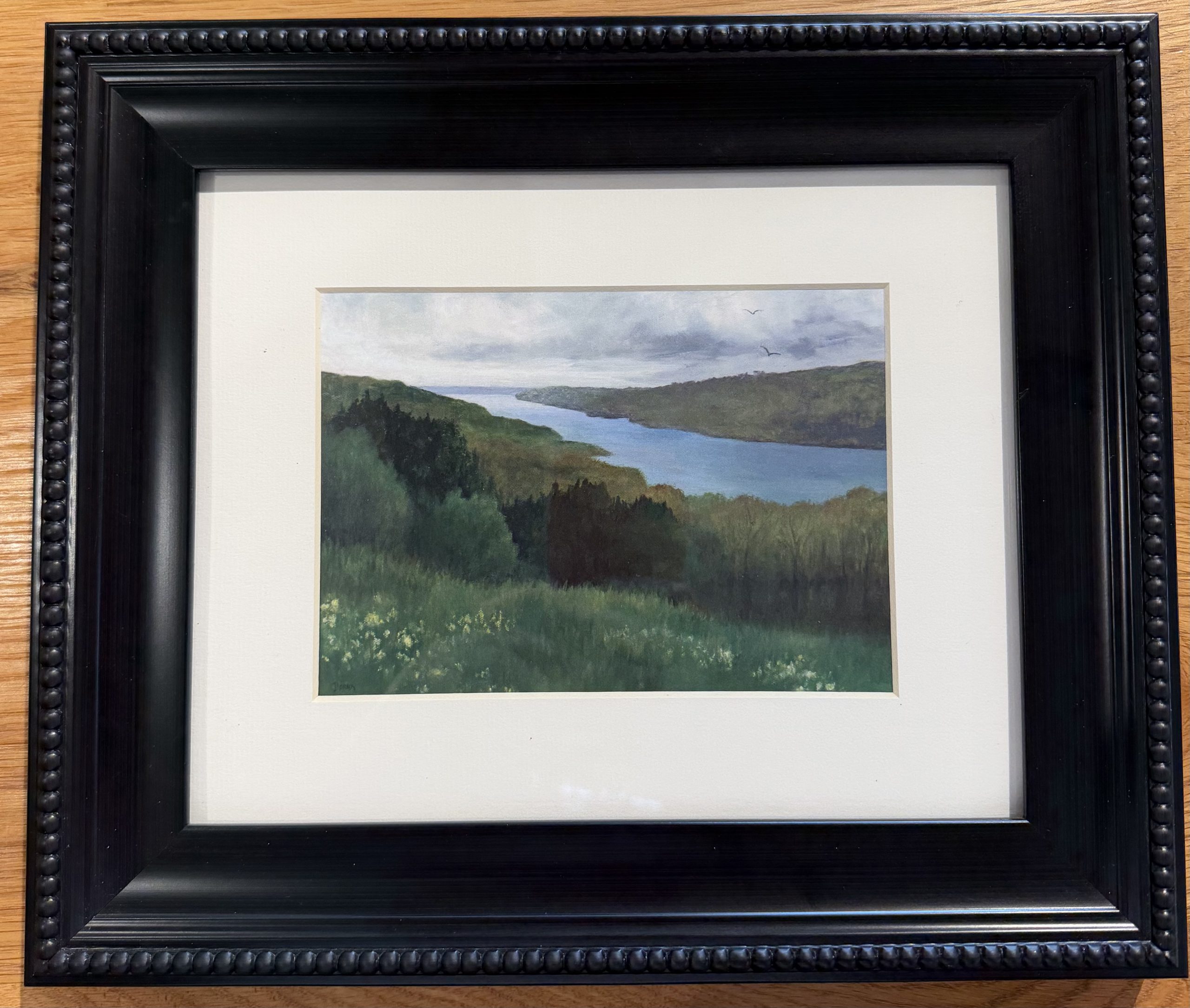 Springtime on Canandaigua Print - Dona Trezise