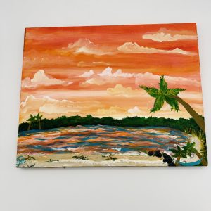 Caribbean Dreams – Amber Schuson