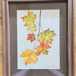 Maple Leaf Print – Jessie Vaughn