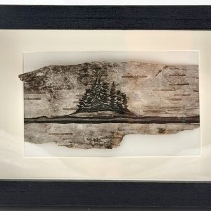 Alapaha Cove, Maine – Corey Fecteau